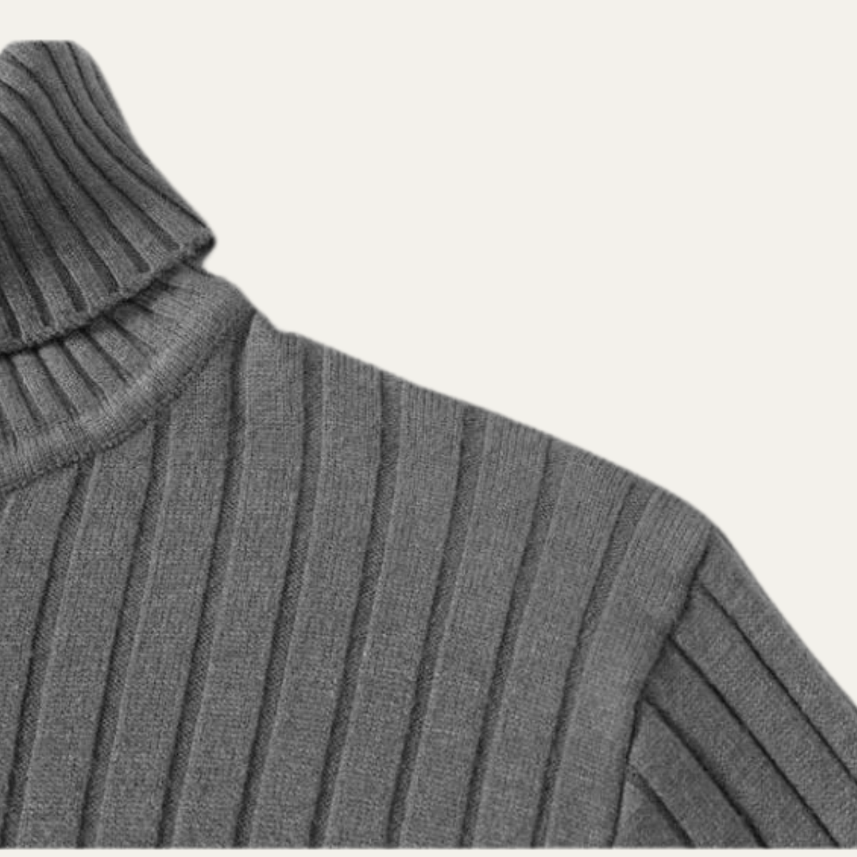 The Tavolara Men’s Slim Fit Turtleneck Ribbed Knit Sweater