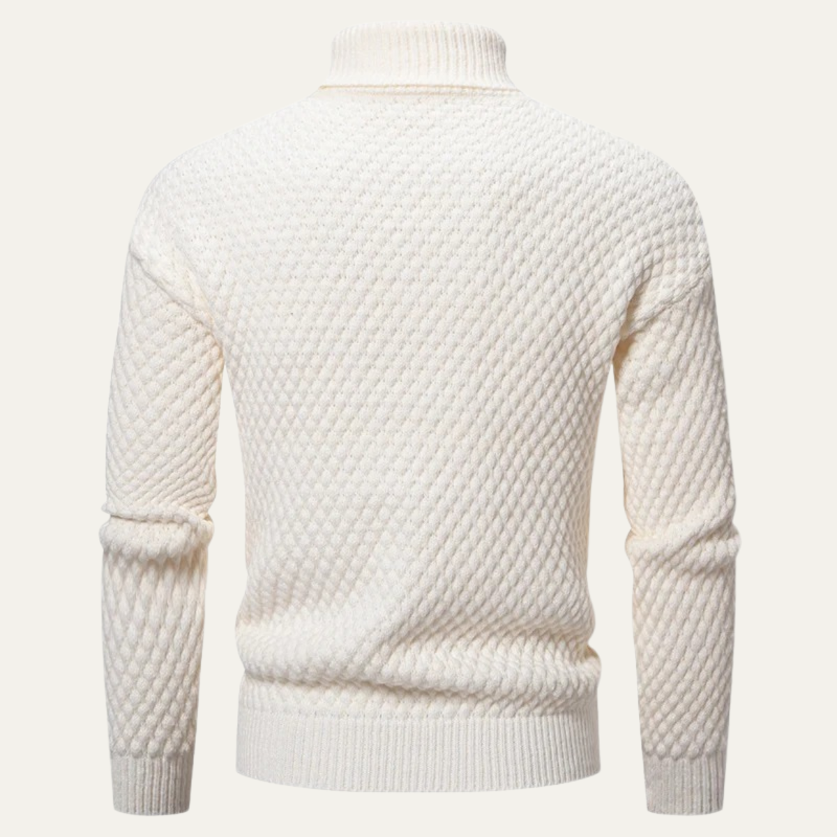 The Pordenone Men’s Textured Knitted Turtleneck Sweater